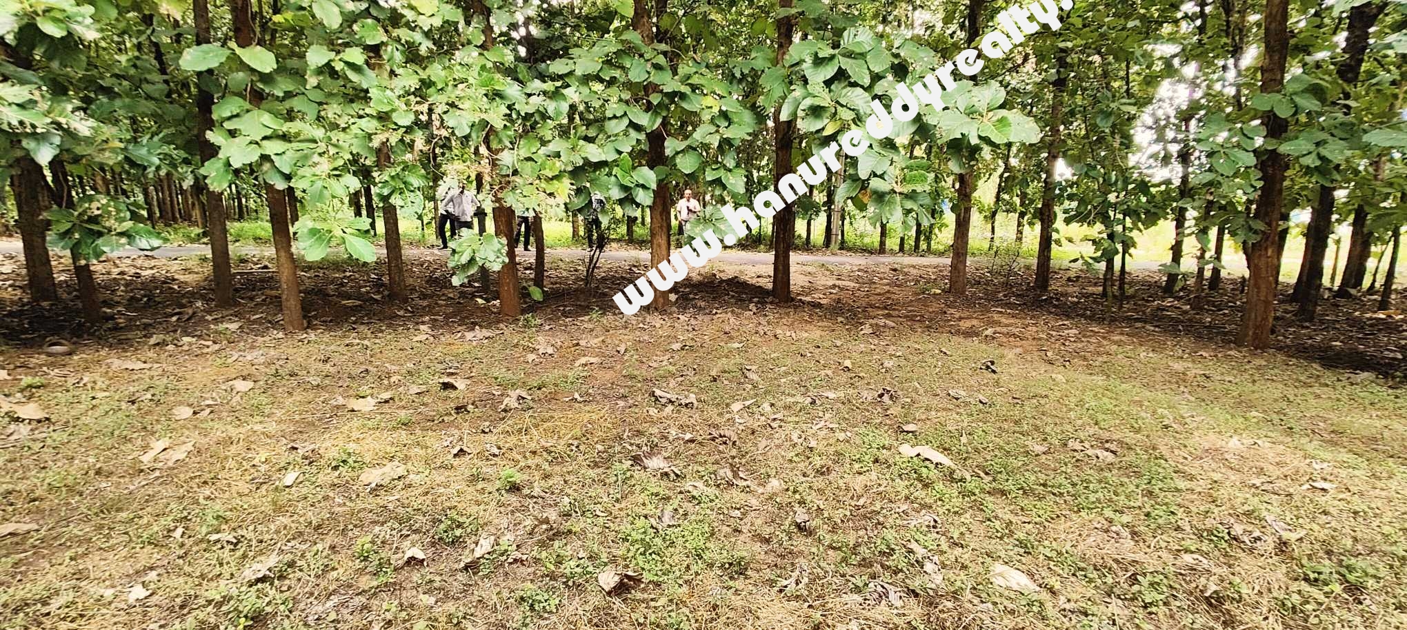 Independent House for Sale at Hebbal, MysoreMysuru Hanu Reddy Realty